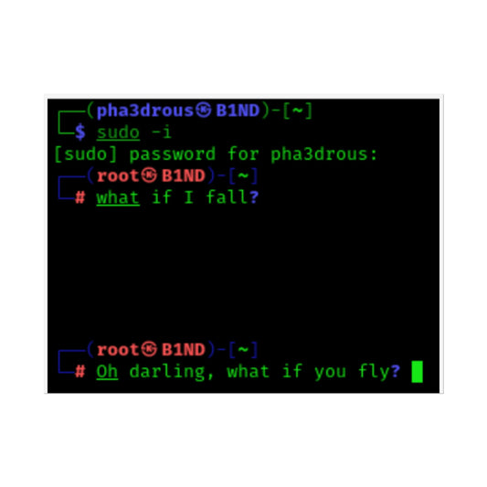 What if you Fly? Poster