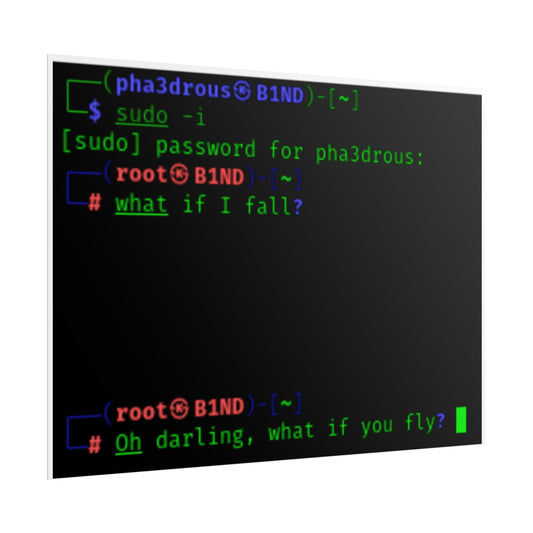 What if you Fly? Poster